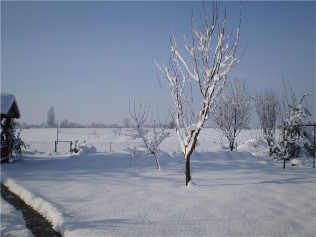snijeg
